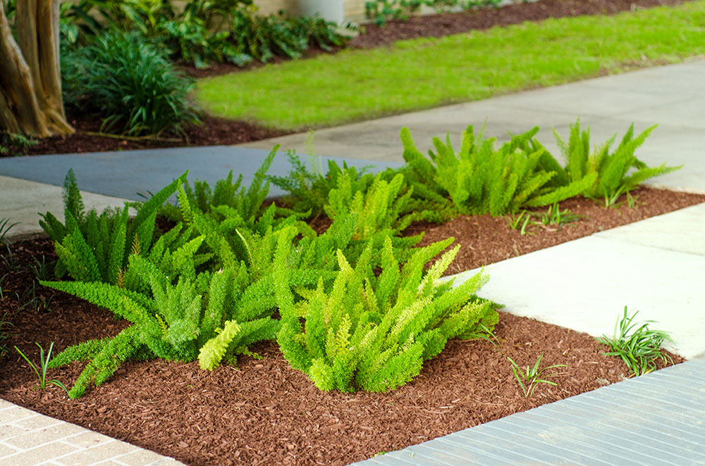 Landry's Landscape Portfolio